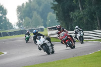anglesey;brands-hatch;cadwell-park;croft;donington-park;enduro-digital-images;event-digital-images;eventdigitalimages;mallory;no-limits;oulton-park;peter-wileman-photography;racing-digital-images;silverstone;snetterton;trackday-digital-images;trackday-photos;vmcc-banbury-run;welsh-2-day-enduro